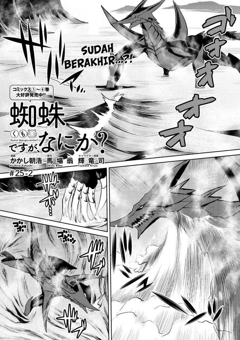 Kumo desu ga, Nani Ka?